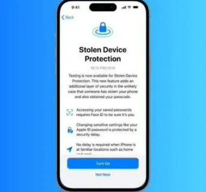潼南苹果授权维修店分享被盗设备保护功能开启方法 