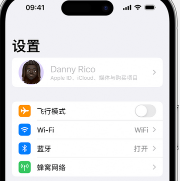 潼南appleID维修服务iPhone设置中Apple ID显示为灰色无法使用 