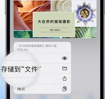 潼南apple维修中心分享iPhone文件应用中存储和找到下载文件