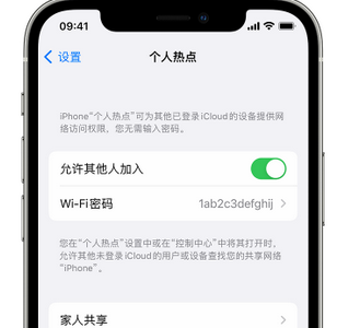 潼南apple服务站点分享iPhone上个人热点丢失了怎么办 