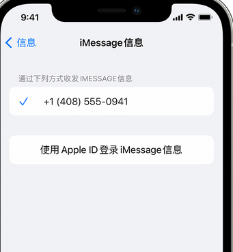 潼南apple维修iPhone上无法正常发送iMessage信息 