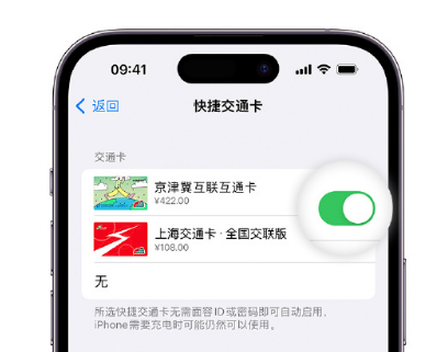 潼南apple维修点分享iPhone上更换Apple Pay快捷交通卡手绘卡面 