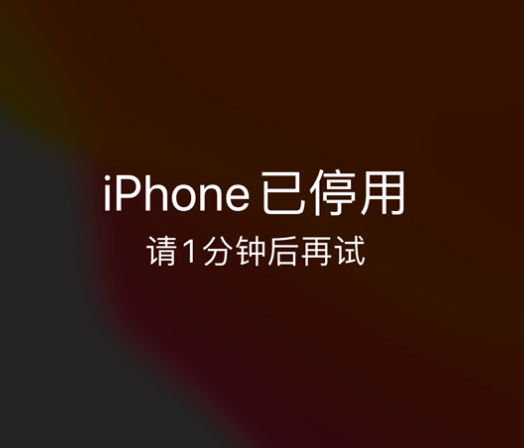 潼南苹果手机维修分享:iPhone 显示“不可用”或“已停用”怎么办？还能保留数据吗？ 