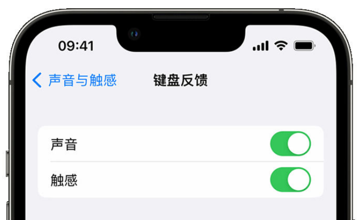 潼南苹果手机维修分享iPhone 14触感键盘使用方法 