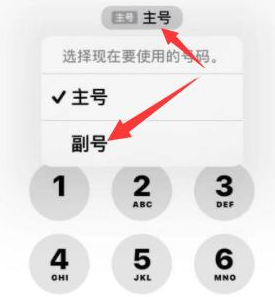 潼南苹果14维修店分享iPhone 14 Pro Max使用副卡打电话的方法 