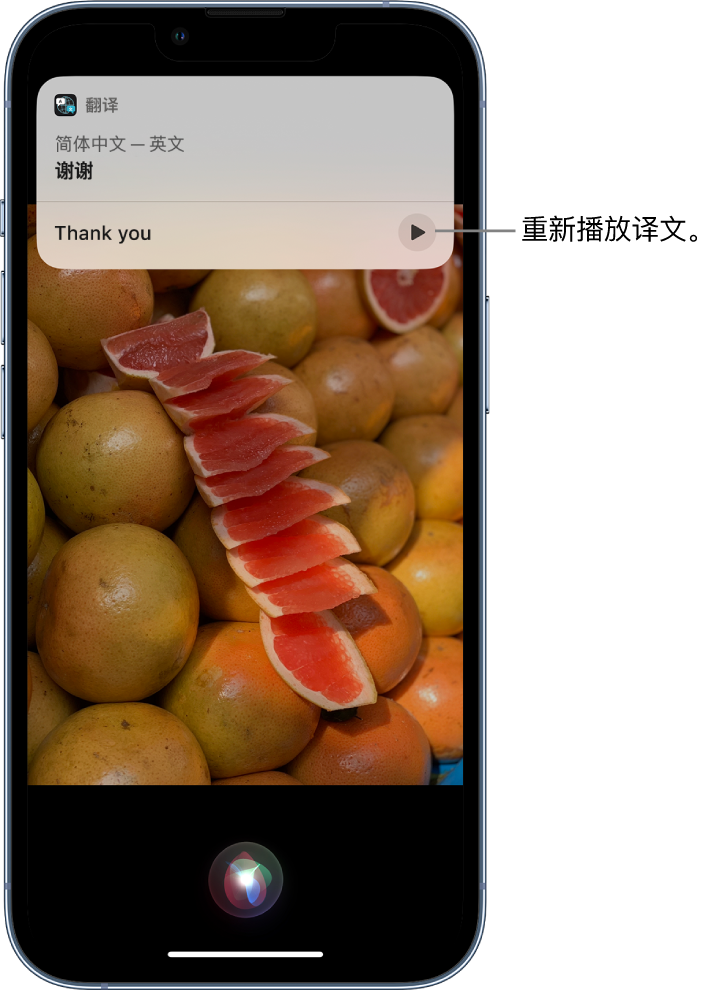 潼南苹果14维修分享 iPhone 14 机型中使用 Siri：了解 Siri 能帮你做什么 