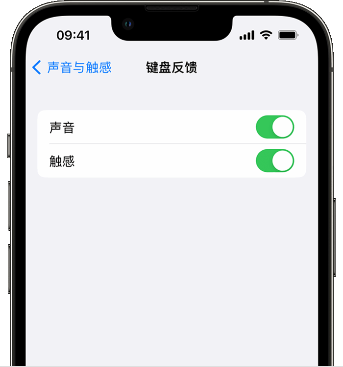 潼南苹果14维修分享iPhone 14 系列机型如何开启键盘声音或触感反馈 