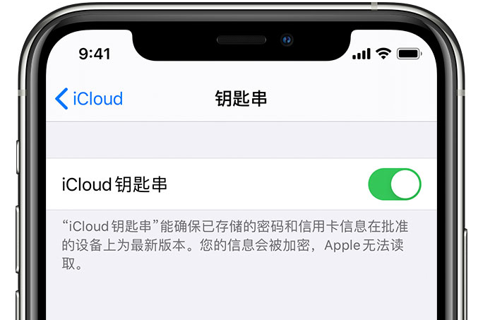 潼南苹果手机维修分享在 iPhone 上开启 iCloud 钥匙串之后会储存哪些信息 