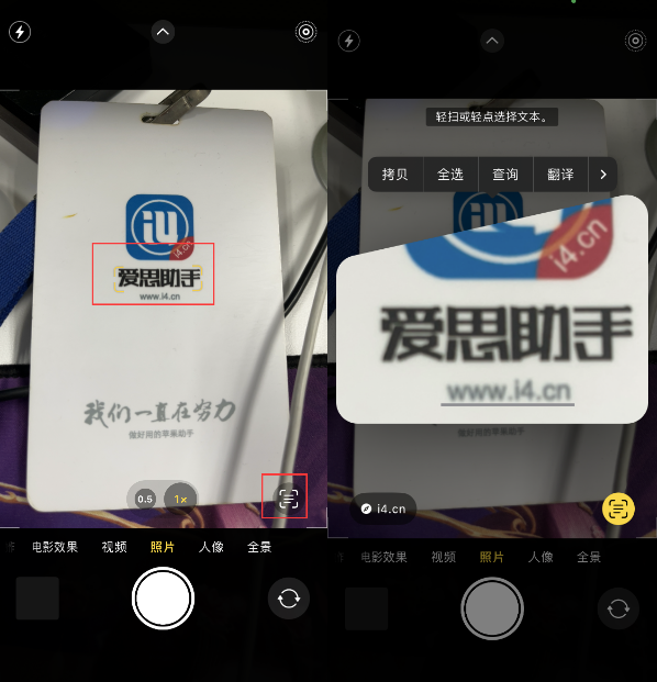 潼南苹果手机维修分享升级iOS 16后如何通过相机翻译文本 