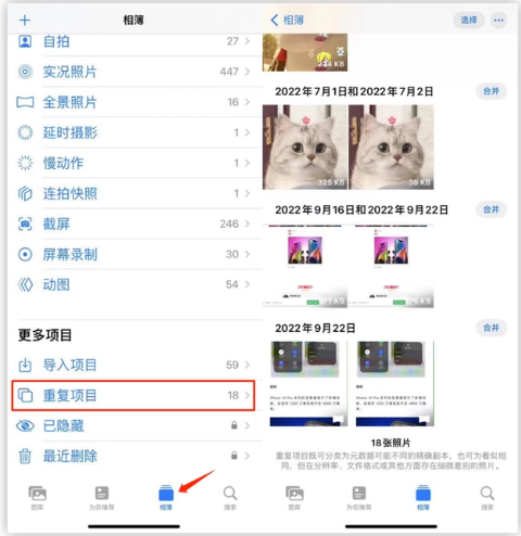 潼南苹果手机维修分享iOS 16 中相册重复项目功能使用方法 
