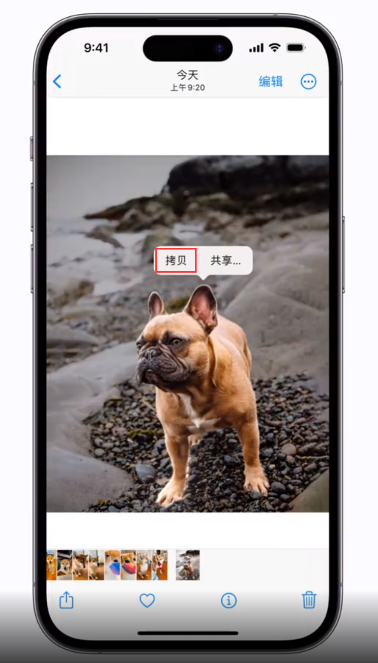 潼南苹果手机维修分享 iOS 16 自带一键抠图功能 