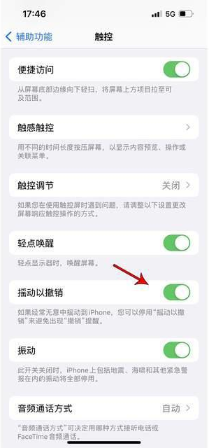 潼南苹果手机维修分享iPhone手机如何设置摇一摇删除文字 