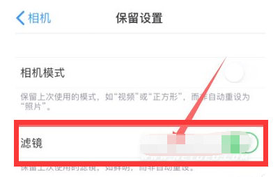 潼南苹果13维修分享iPhone13拍照有绿点是怎么回事 