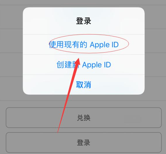 潼南苹果手机维修分享两台iPhone设备可以同时登录一个Apple ID吗 